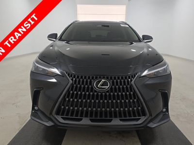 2025 Lexus NX - Photo 3