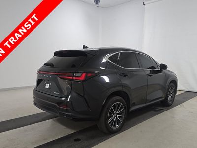 2025 Lexus NX - Photo 4