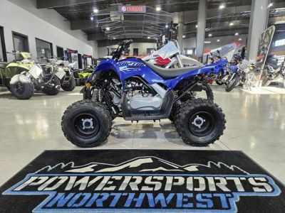 2026 Yamaha Raptor 110 — front three-quarter view