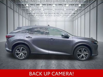 2023 Lexus RX — detail view