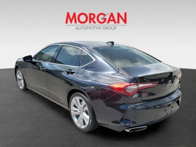 2023 Acura TLX — rear three-quarter view