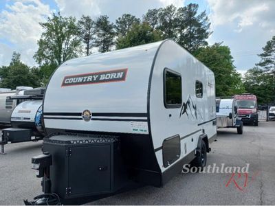 2025 Modern Buggy Country Born - Photo 2