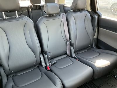 2026 Kia Carnival Hybrid — photo 14 view