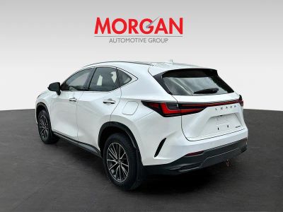 2025 Lexus NX — detail view