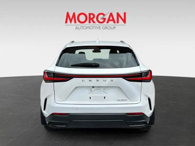 2025 Lexus NX — engine compartment view