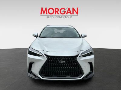 2025 Lexus NX — side profile view