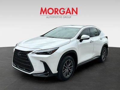 2025 Lexus NX — rear three-quarter view