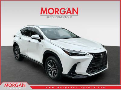 2025 Lexus NX 250 Base in White — front three-quarter view