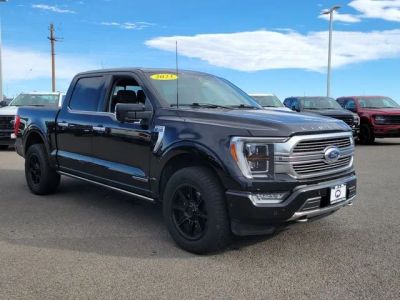 2023 Ford F-150 — interior view