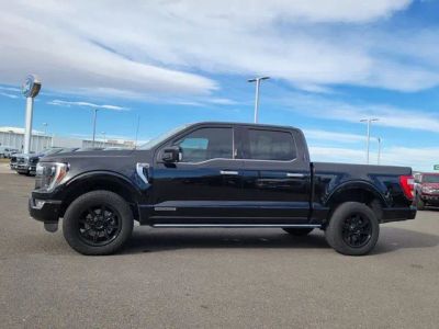 2023 Ford F-150 — side profile view