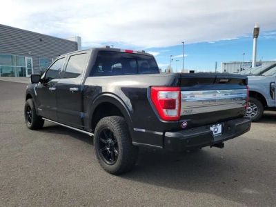 2023 Ford F-150 — rear three-quarter view