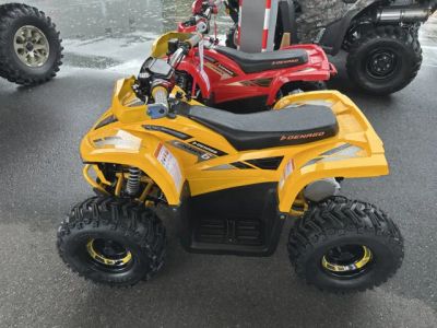 2026 Denago Powersports E-Hawk 6 — front three-quarter view