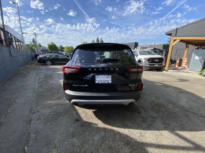2025 Ford Escape — detail view