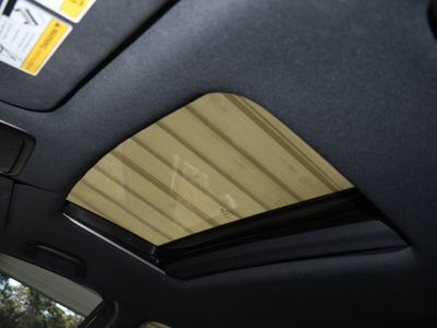 2023 Honda Passport - Photo 6