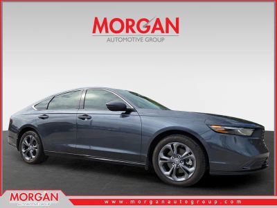 2024 Honda Accord Hybrid EX-L in Gray — front three-quarter view