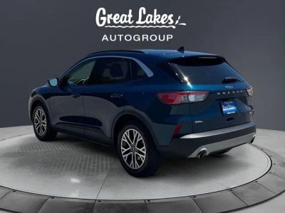 2020 Ford Escape — rear three-quarter view