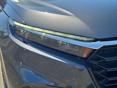 2025 Honda CR-V — photo 7 view