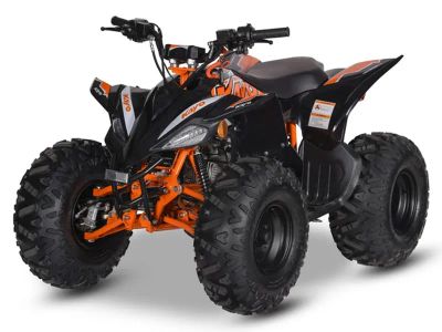 2025 Kayo Predator 110 - Photo 4