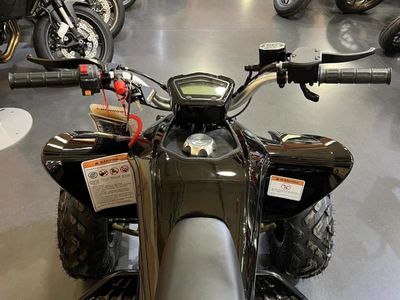 2026 Denago Powersports Daytona 250 FI - Photo 10
