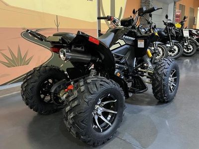 2026 Denago Powersports Daytona 250 FI - Photo 5