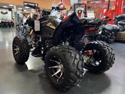 2026 Denago Powersports Daytona 250 FI - Photo 4