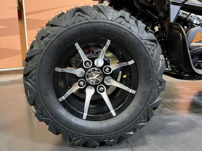 2026 Denago Powersports Daytona 250 FI - Photo 15