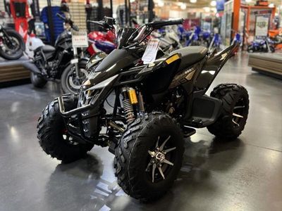 2026 Denago Powersports Daytona 250 FI - Photo 2