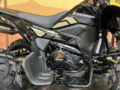 2026 Denago Powersports Daytona 250 FI - Photo 7