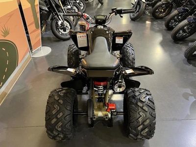2026 Denago Powersports Daytona 250 FI - Photo 6