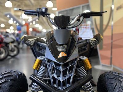 2026 Denago Powersports Daytona 250 FI - Photo 8