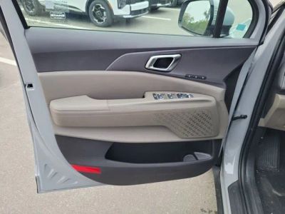 2026 Kia Carnival Hybrid — detail view