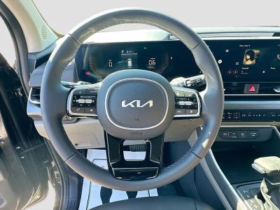 2026 Kia Carnival — photo 11 view