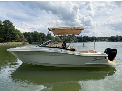 2024 Scout 150 XL - Photo 1