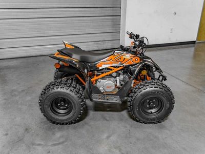 2025 Kayo Predator 125 EFI - Photo 3