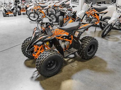 2025 Kayo Predator 125 EFI - Photo 7