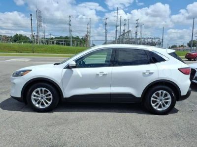 2020 Ford Escape — interior view