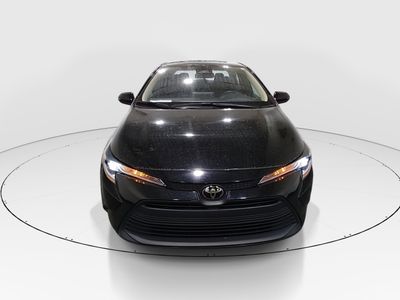 2024 Toyota Corolla - Photo 2