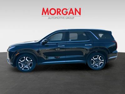 2025 Hyundai Palisade — detail view