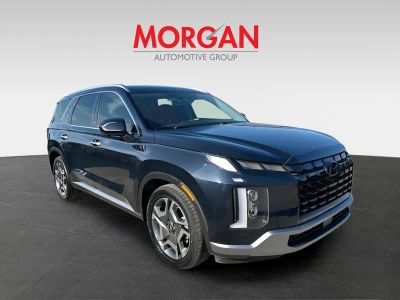 2025 Hyundai Palisade — side profile view