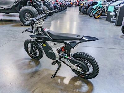 2025 GREENGER G2 - Photo 5