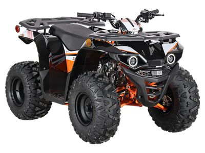 2025 Kayo Bull 110 - Photo 3