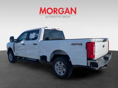 2025 Ford F-250SD — detail view