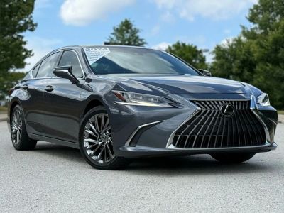 2024 Lexus ES - Photo 2