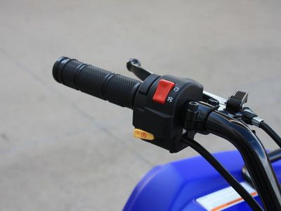 2026 Yamaha Grizzly 110 - Photo 10