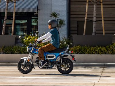 2025 Honda Dax 125 - Photo 18