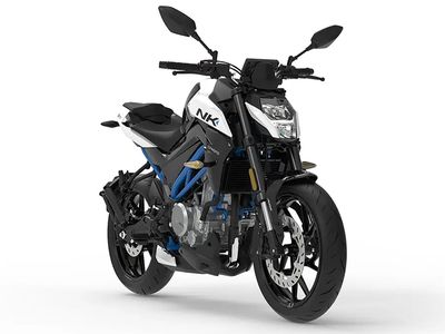 2025 CFMOTO 300NK - Photo 2