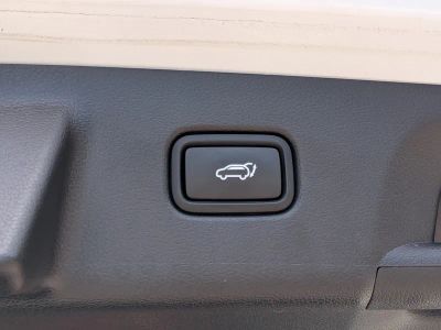 2023 Hyundai Palisade — photo 14 view