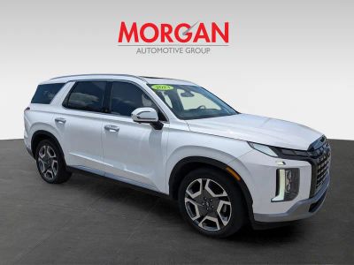 2023 Hyundai Palisade — side profile view