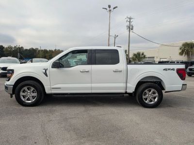 2024 Ford F-150 — side profile view