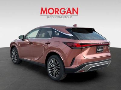 2026 Lexus RX — detail view